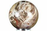 Colorful Petrified Wood (Araucaria) Sphere - Madagascar #227355-1